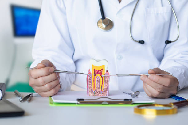 Best Orthodontic Emergency Dentist in Peru, IN